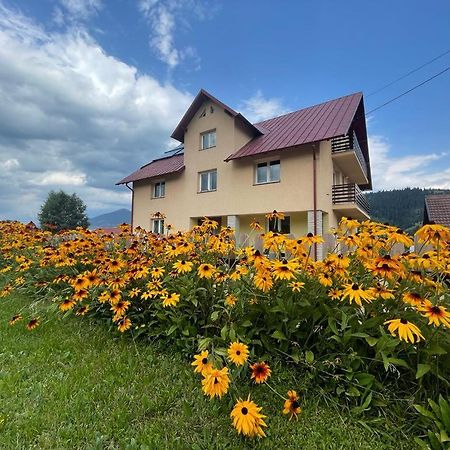 Pensiunea Gentiana Vatra Dornei Dış mekan fotoğraf