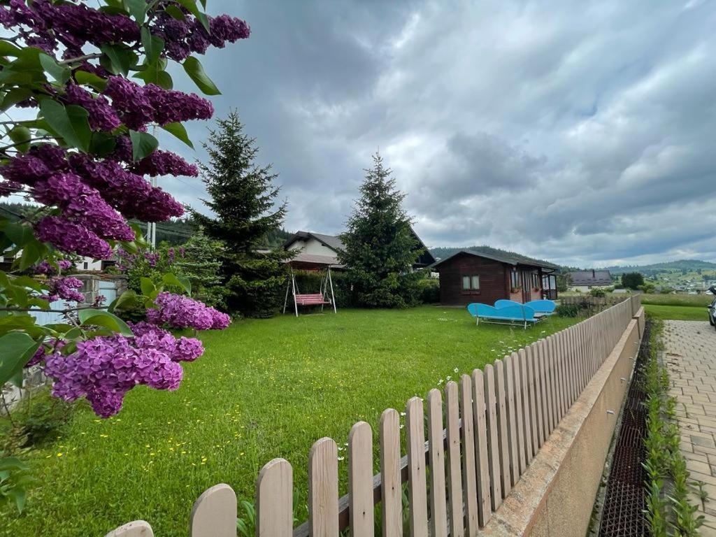 Pensiunea Gentiana Vatra Dornei Dış mekan fotoğraf