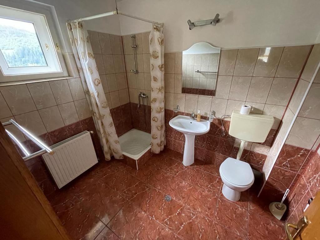 Pensiunea Gentiana Vatra Dornei Dış mekan fotoğraf
