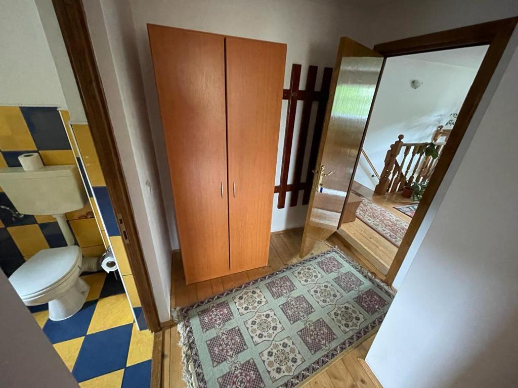 Pensiunea Gentiana Vatra Dornei Dış mekan fotoğraf