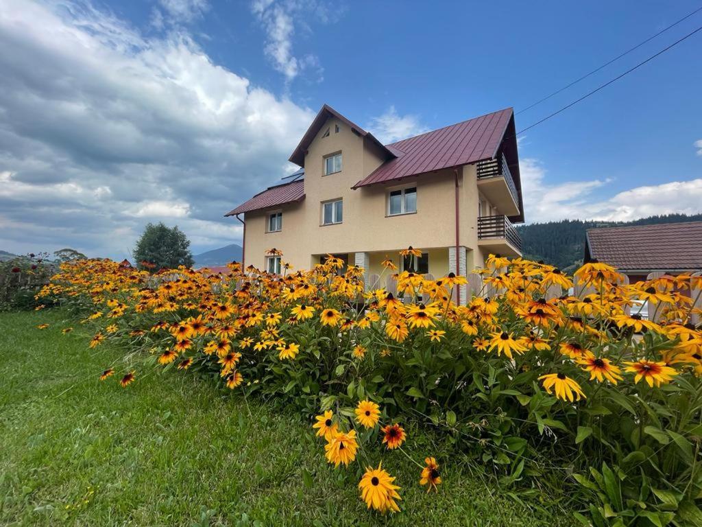 Pensiunea Gentiana Vatra Dornei Dış mekan fotoğraf